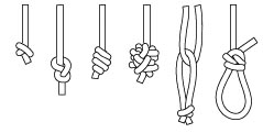 cc